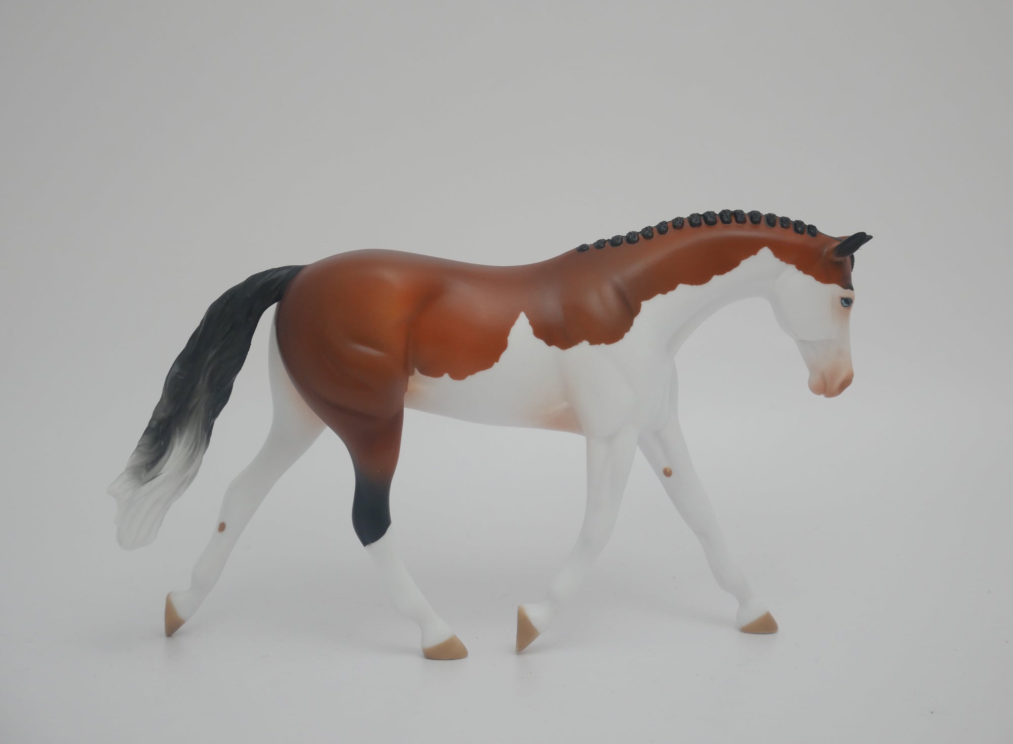 MR. CROSSROADS-LE-8 BAY SPLASH WARMBLOOD PEBBLES EA/MW 2020