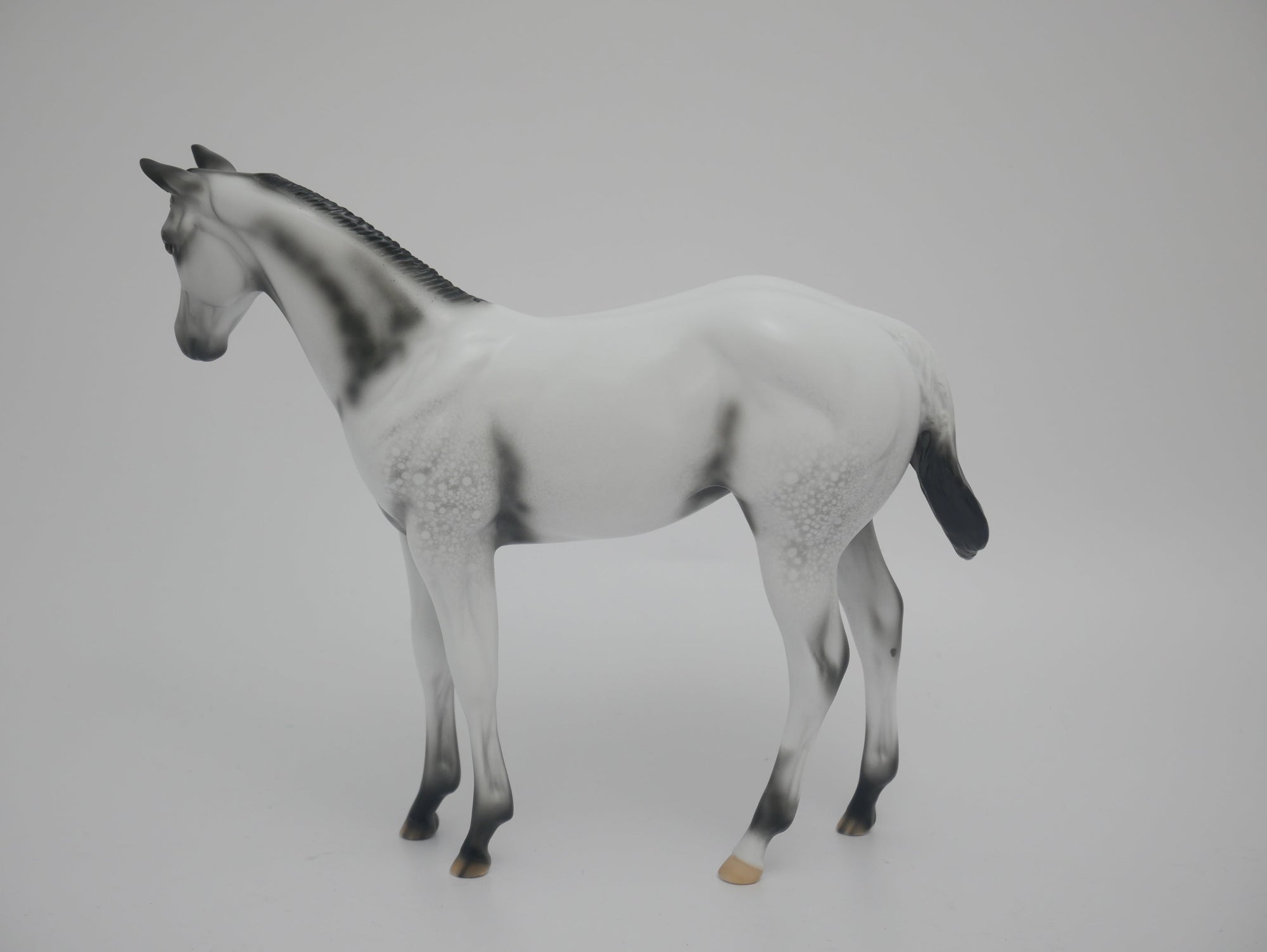 MITTEN - LE-6 BLACK FEW SPOT APPALOOSA BY DAWN QUICK 3/6/20