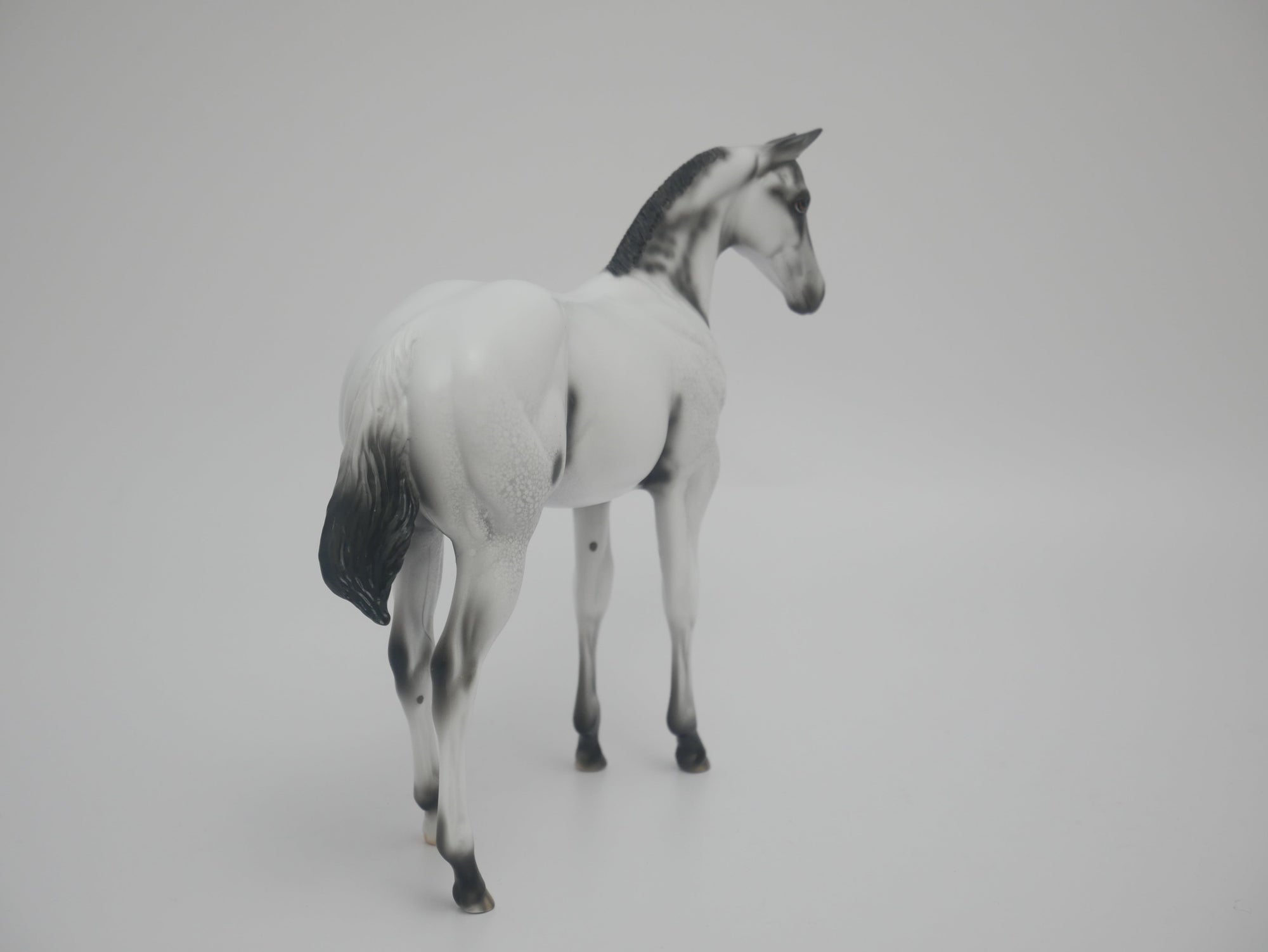 MITTEN - LE-6 BLACK FEW SPOT APPALOOSA BY DAWN QUICK 3/6/20