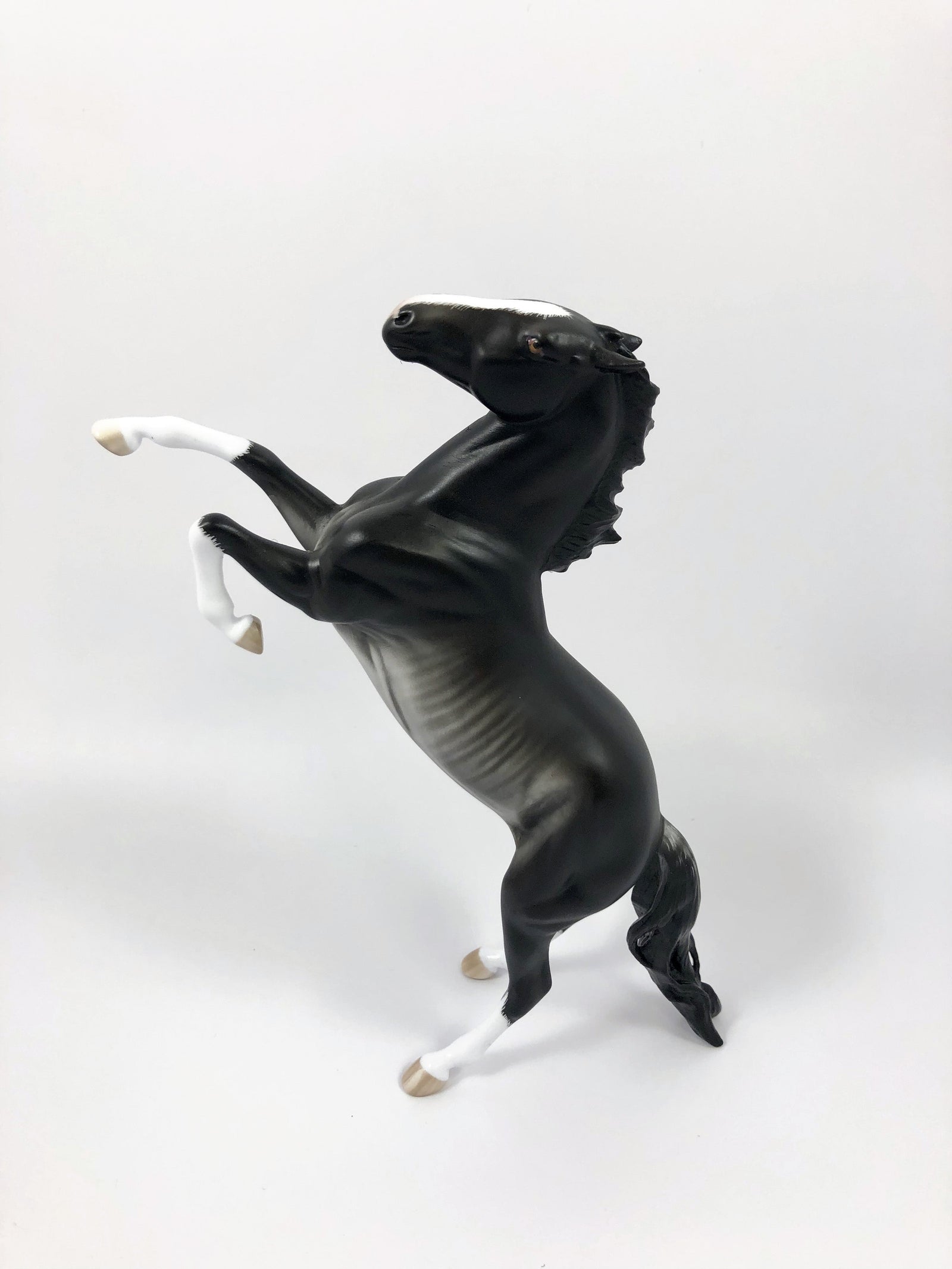 MIX IT UP--OOAK BLACK RABICANO REARING PEBBLES BY SHERYL LEISURE 4/25/19