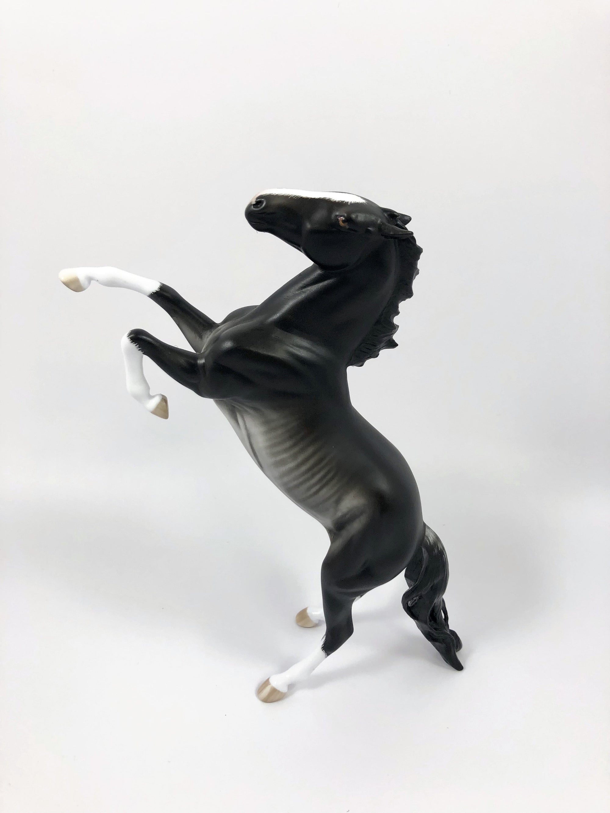 MIX IT UP--OOAK BLACK RABICANO REARING PEBBLES BY SHERYL LEISURE 4/25/19