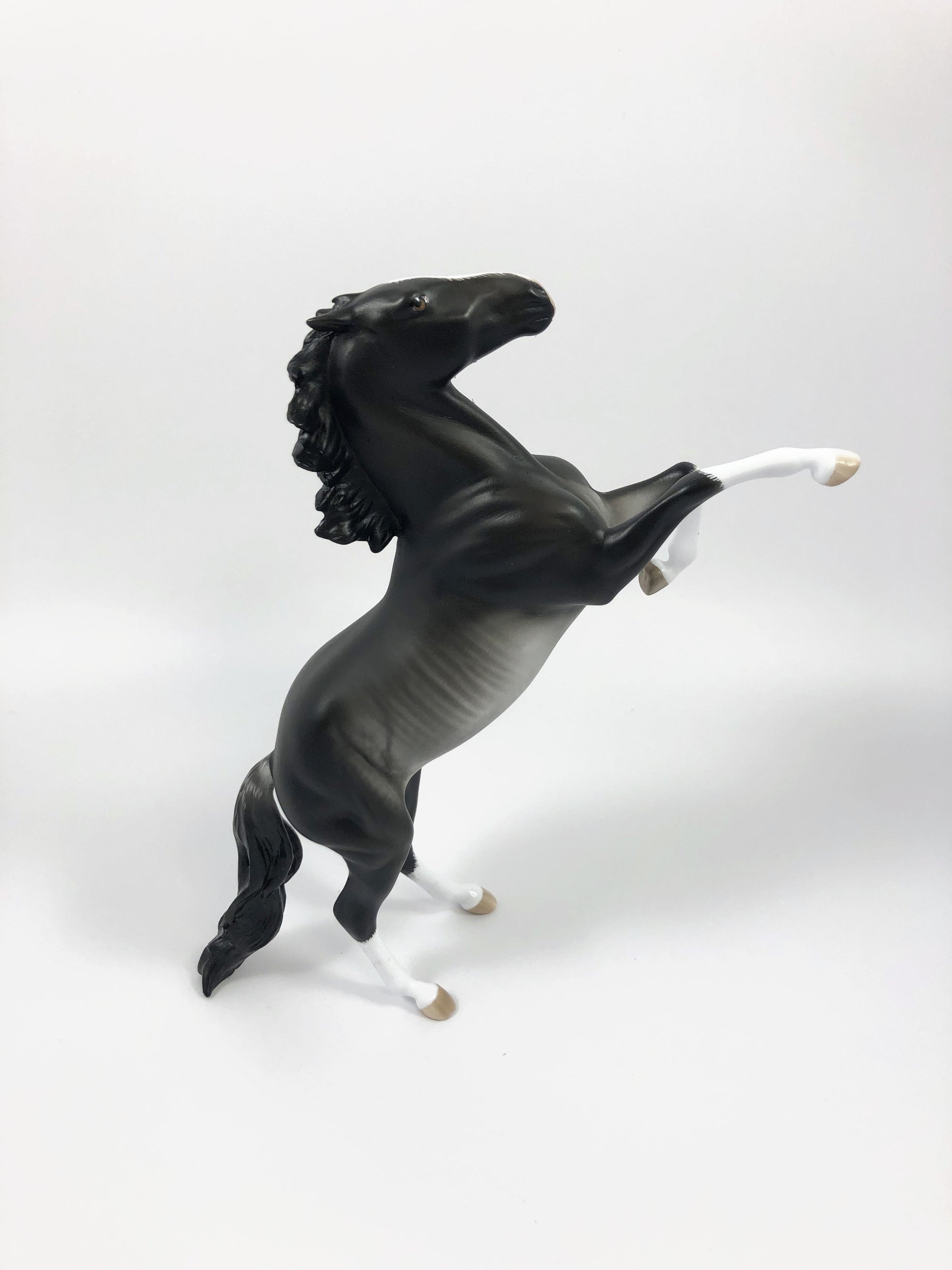 MIX IT UP--OOAK BLACK RABICANO REARING PEBBLES BY SHERYL LEISURE 4/25/19