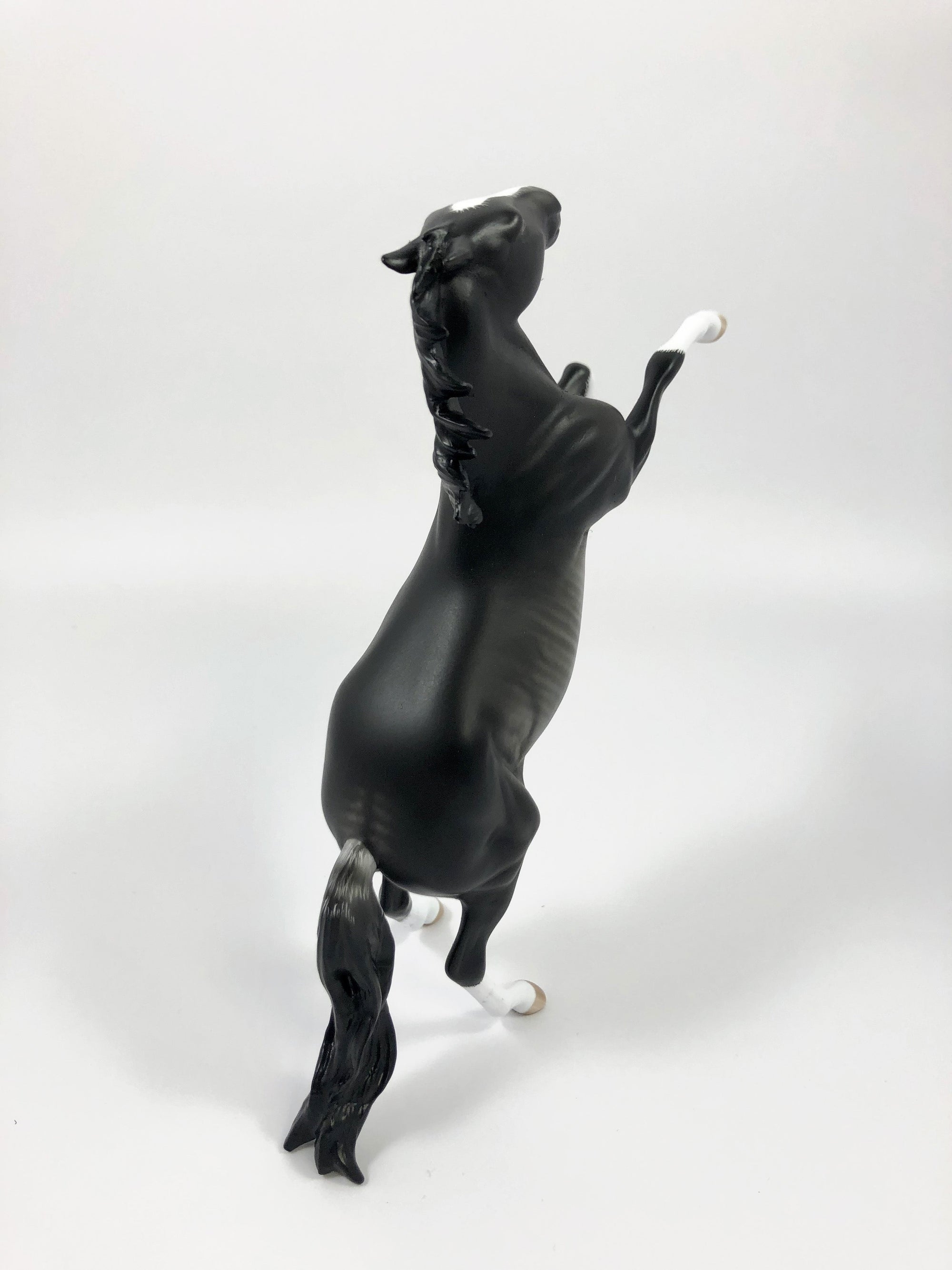 MIX IT UP--OOAK BLACK RABICANO REARING PEBBLES BY SHERYL LEISURE 4/25/19