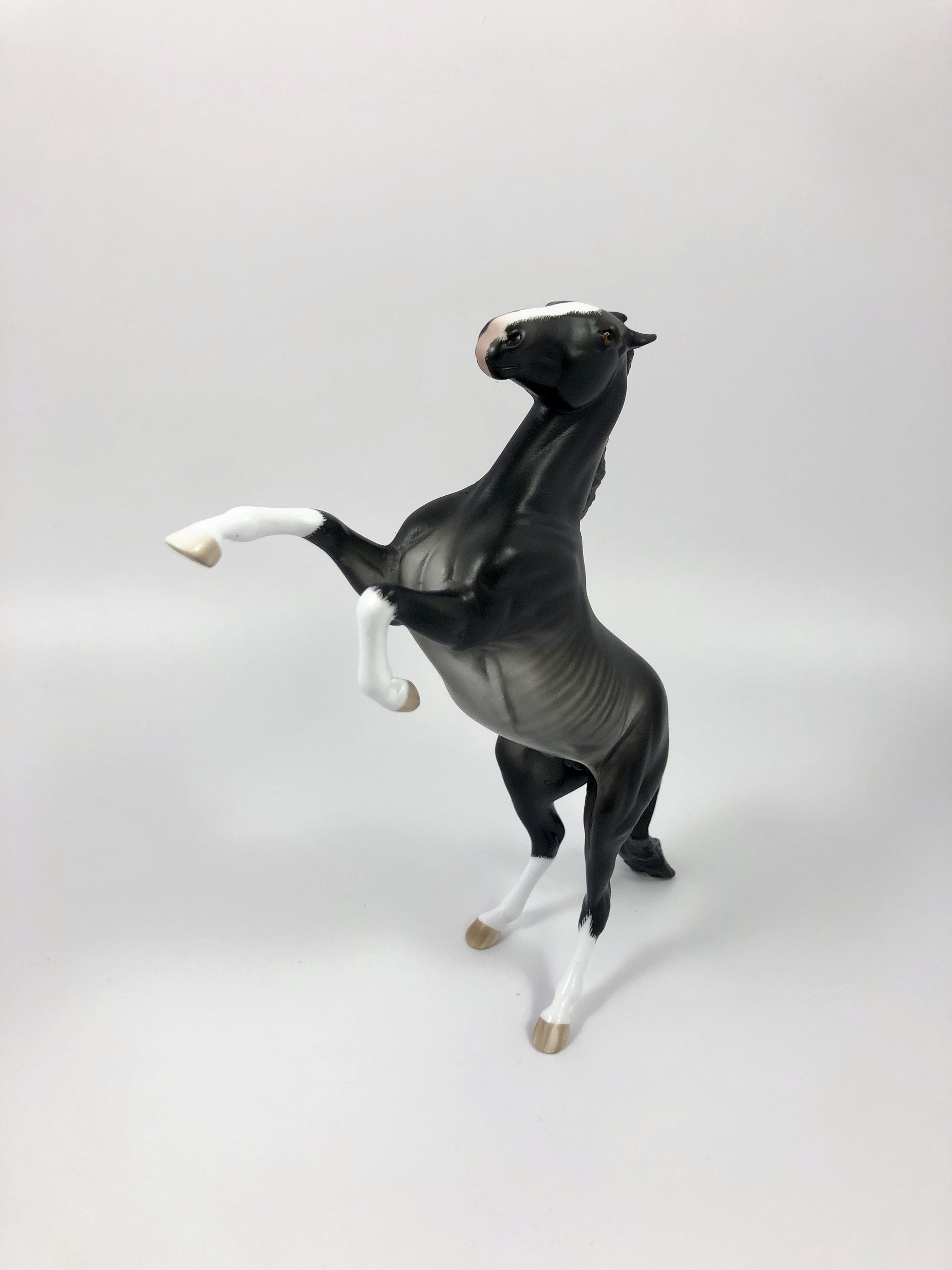 MIX IT UP--OOAK BLACK RABICANO REARING PEBBLES BY SHERYL LEISURE 4/25/19