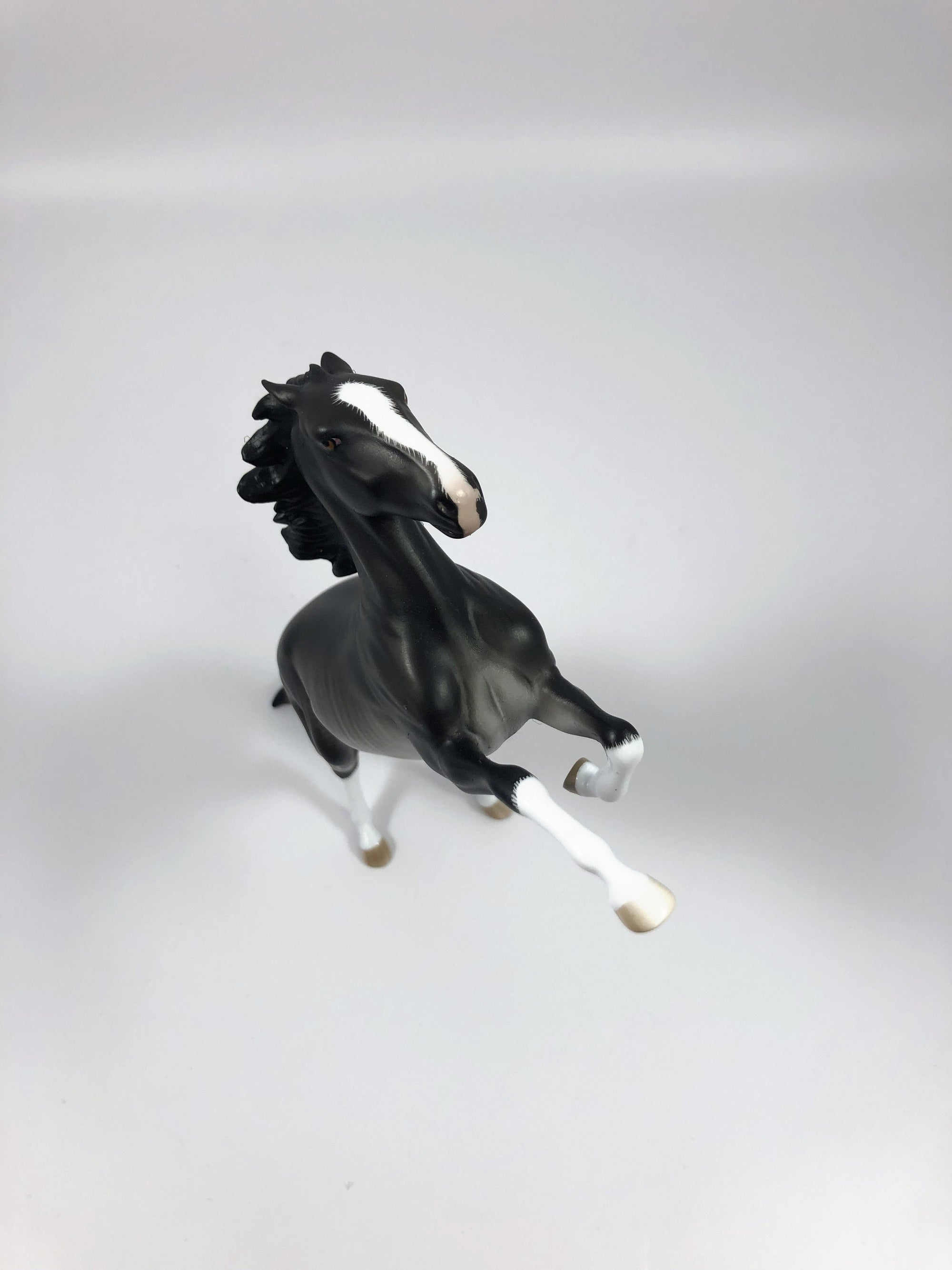 MIX IT UP--OOAK BLACK RABICANO REARING PEBBLES BY SHERYL LEISURE 4/25/19