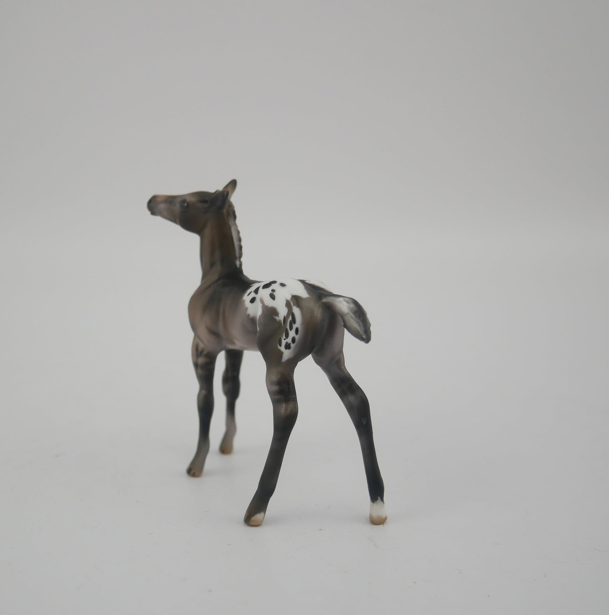 MINI ME BLACK IRIS - LE-20 SILVER GRULLA APPALOOSA MINI ME FRIDAY RELEASE BY  JULIE KEIM EQ 2020