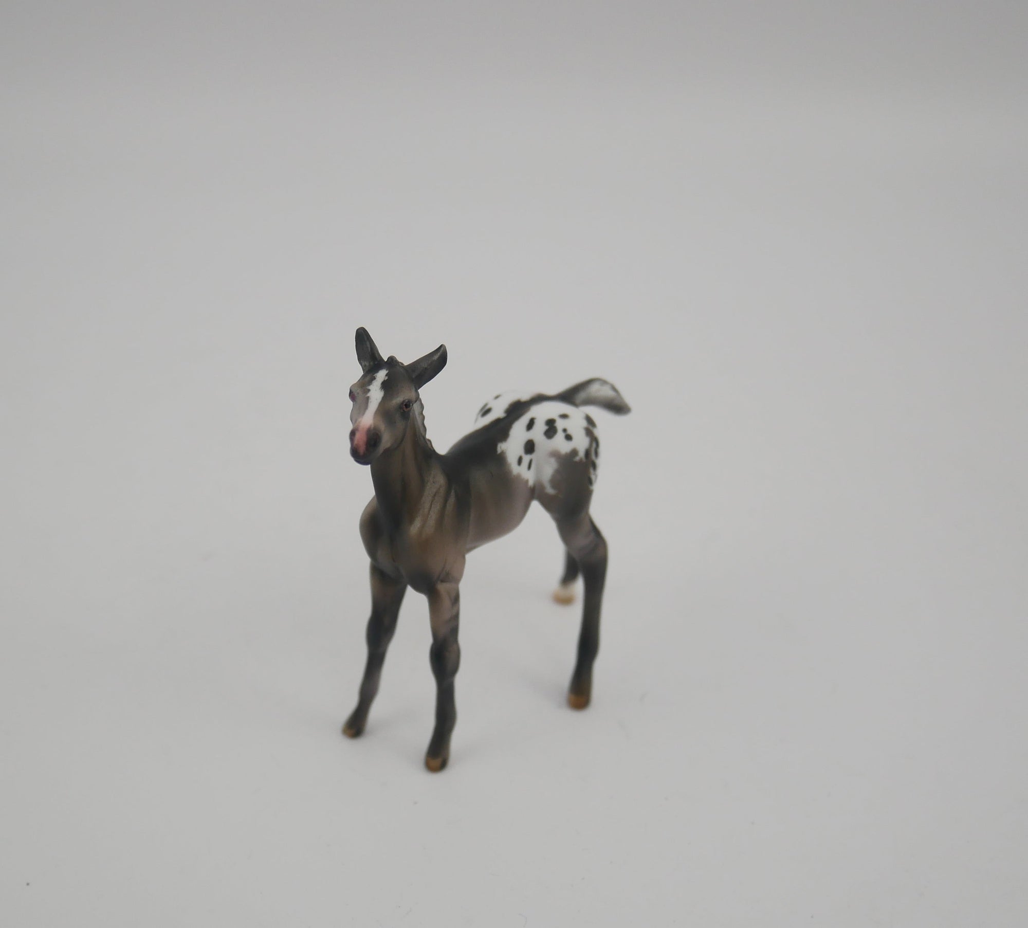MINI ME BLACK IRIS - LE-20 SILVER GRULLA APPALOOSA MINI ME FRIDAY RELEASE BY  JULIE KEIM EQ 2020