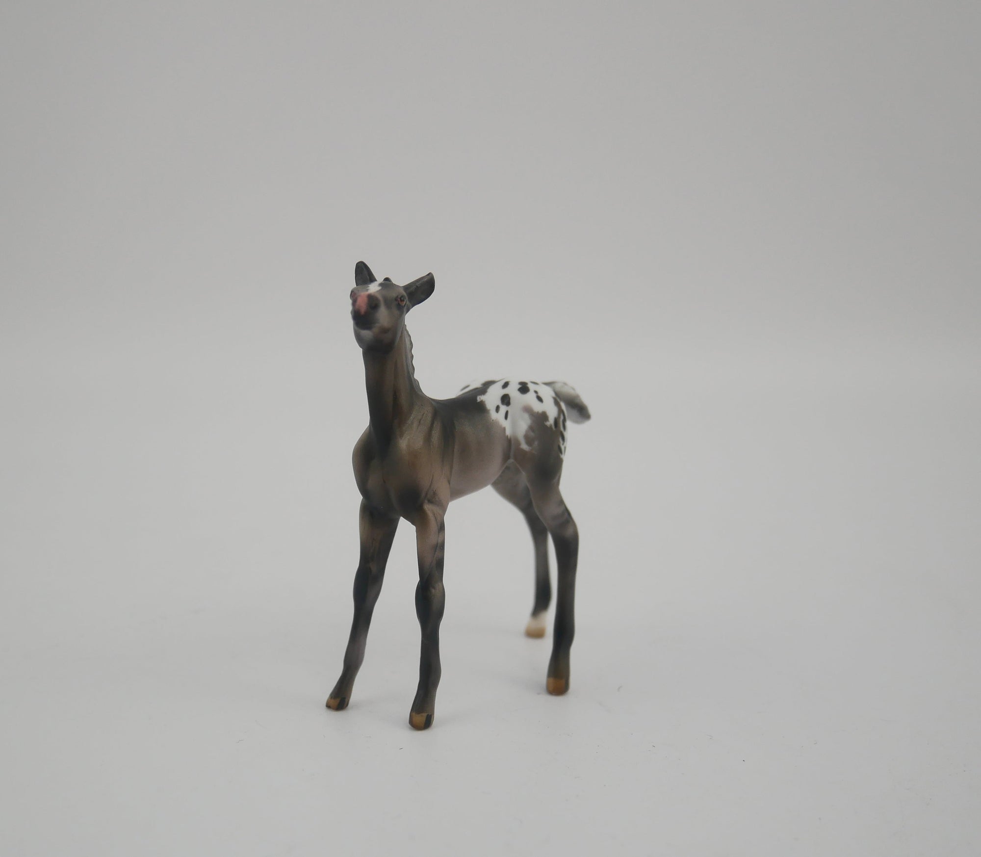 MINI ME BLACK IRIS - LE-20 SILVER GRULLA APPALOOSA MINI ME FRIDAY RELEASE BY  JULIE KEIM EQ 2020