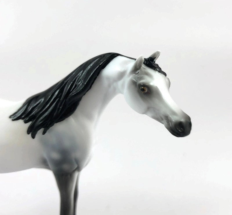 THE GREAT WALLENDEZ MINI ME -LE-10 DAPPLE  GREY CM ARABIAN CHIP BY AUDREY DIXON LHS 19