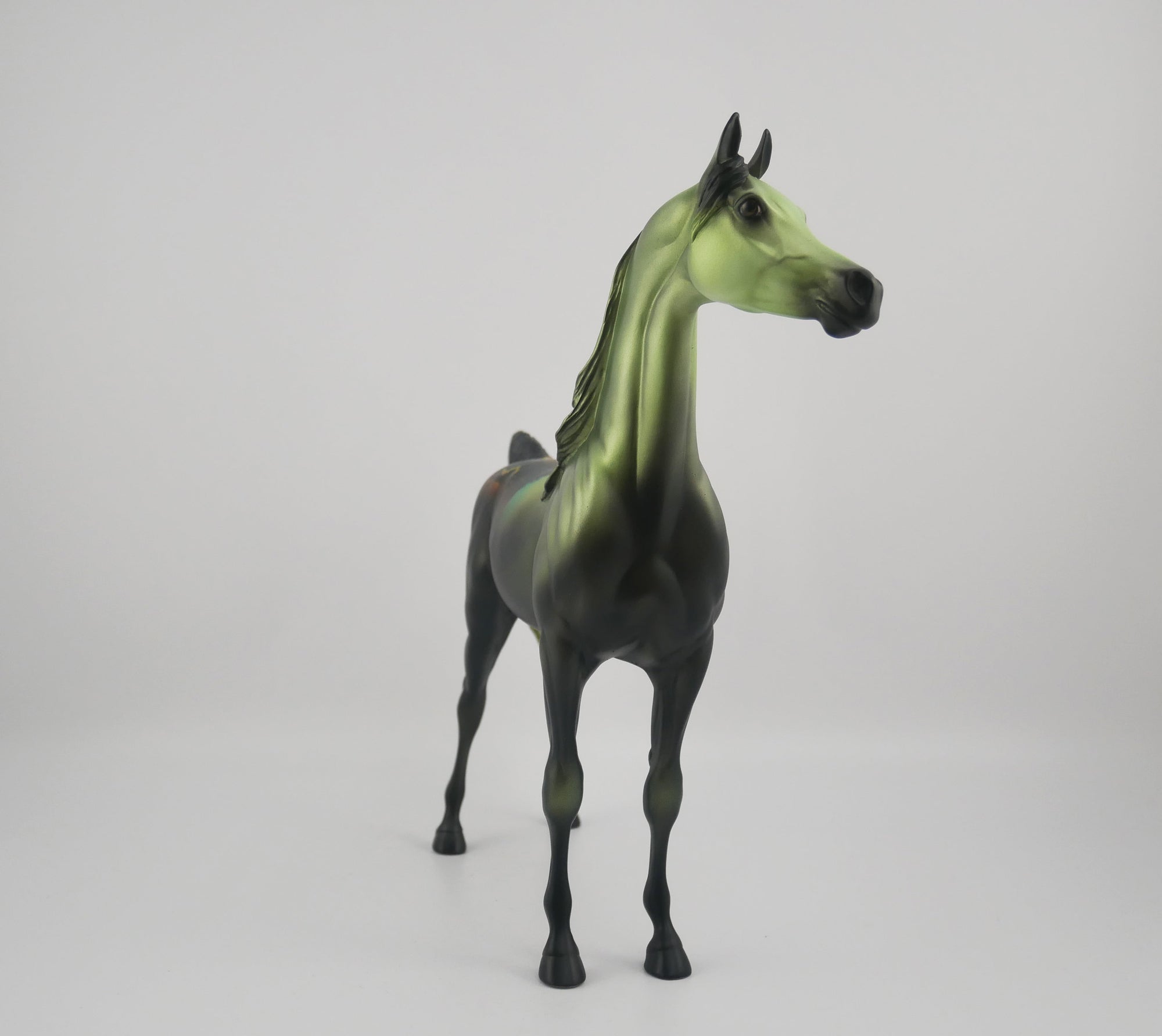 Mona Lisa-OOAK Bay Paint Arabian Mare EQ 2020