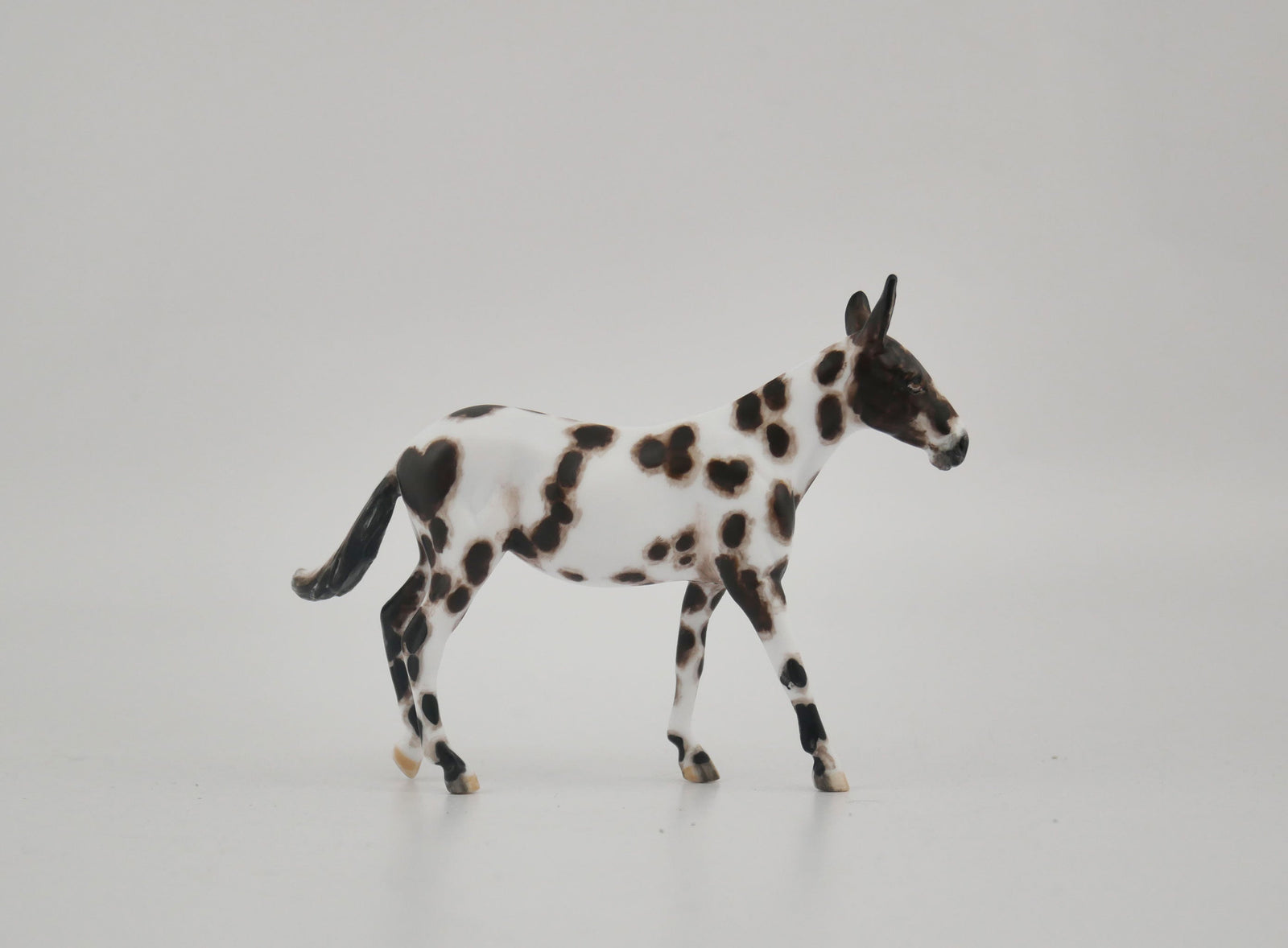 Montage-OOAK Mule Appaloosa Chip By Andrea MM 2020