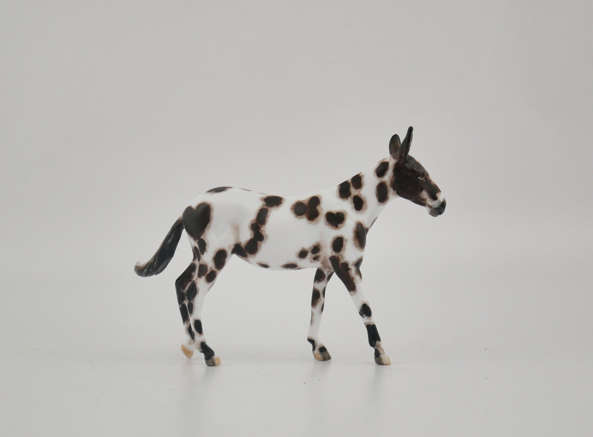 Montage-OOAK Mule Appaloosa Chip By Andrea MM 2020