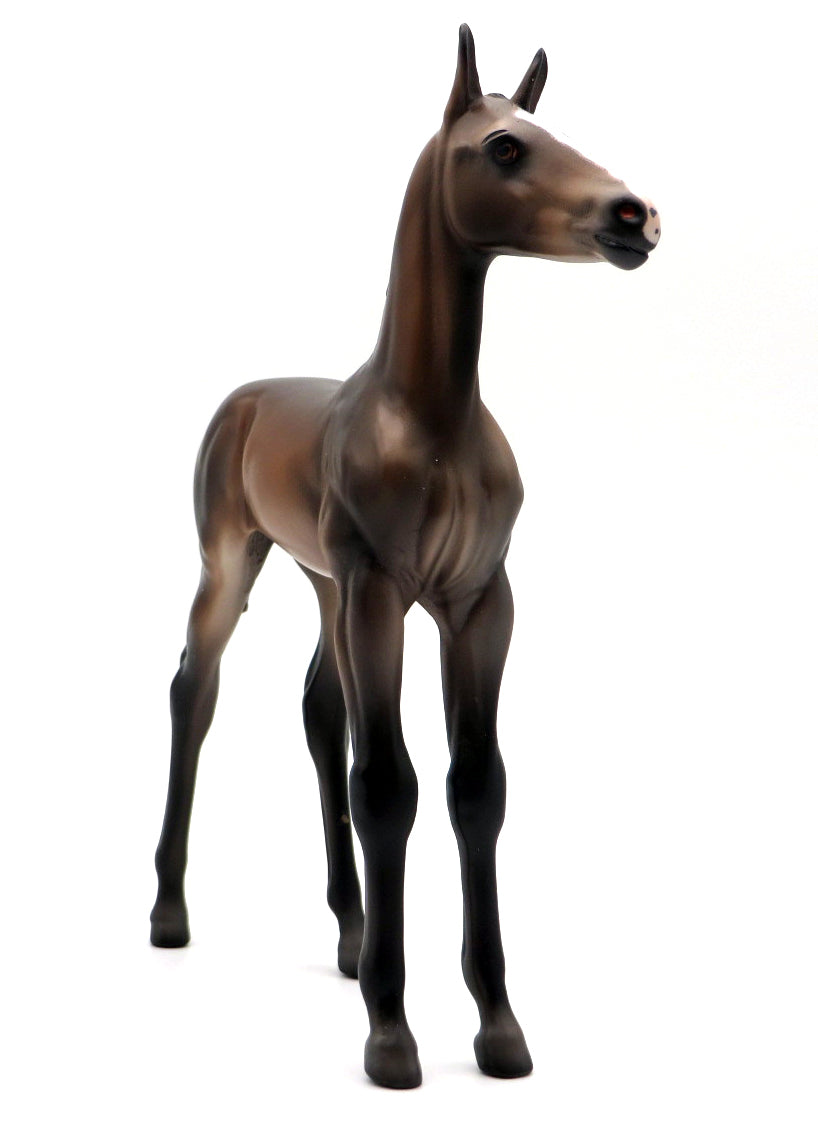 Monterey-OOAK Andalusian Foal by Caroline Boydston 10/4/21