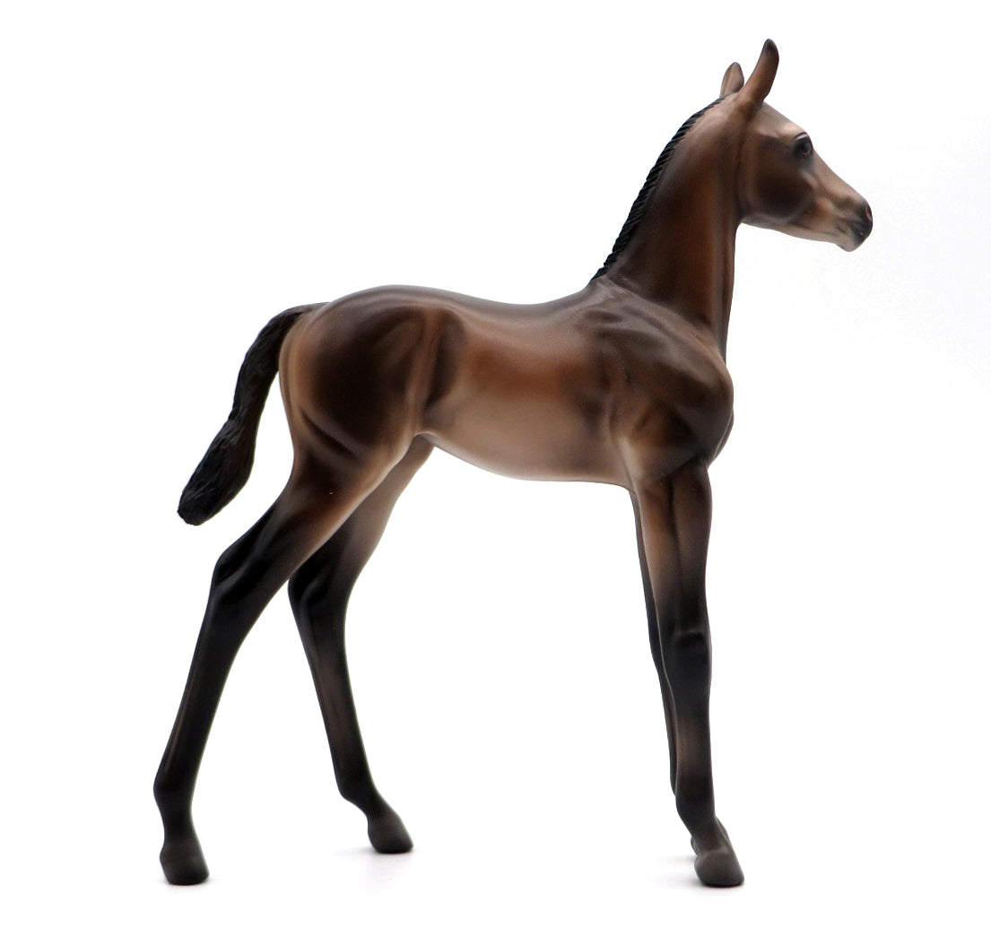 Monterey-OOAK Andalusian Foal by Caroline Boydston 10/4/21