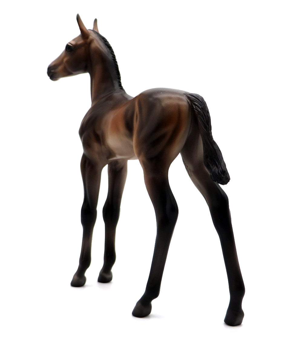 Monterey-OOAK Andalusian Foal by Caroline Boydston 10/4/21