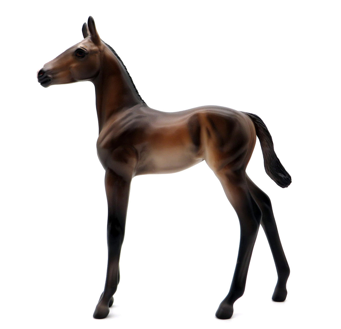 Monterey-OOAK Andalusian Foal by Caroline Boydston 10/4/21