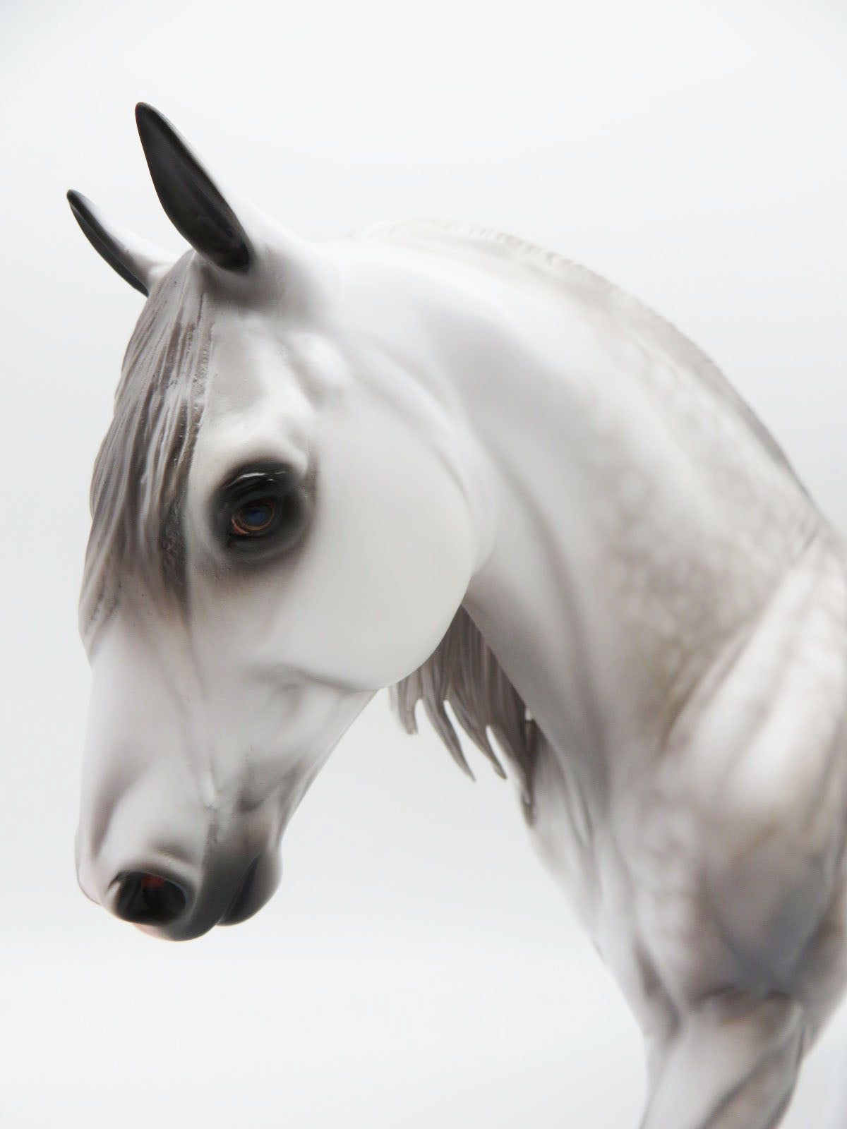 Moon - OOAK - Dapple Grey Irish Draft By Caroline Boydston BEST OFFER 11/07/22