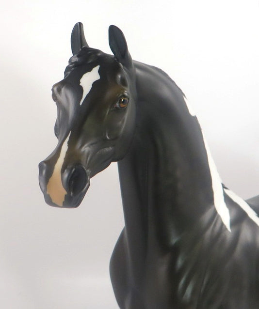 MOON MIST-OOAK DAPPLE BLACK PINTO ARABIAN MODEL HORSE 2/12/20