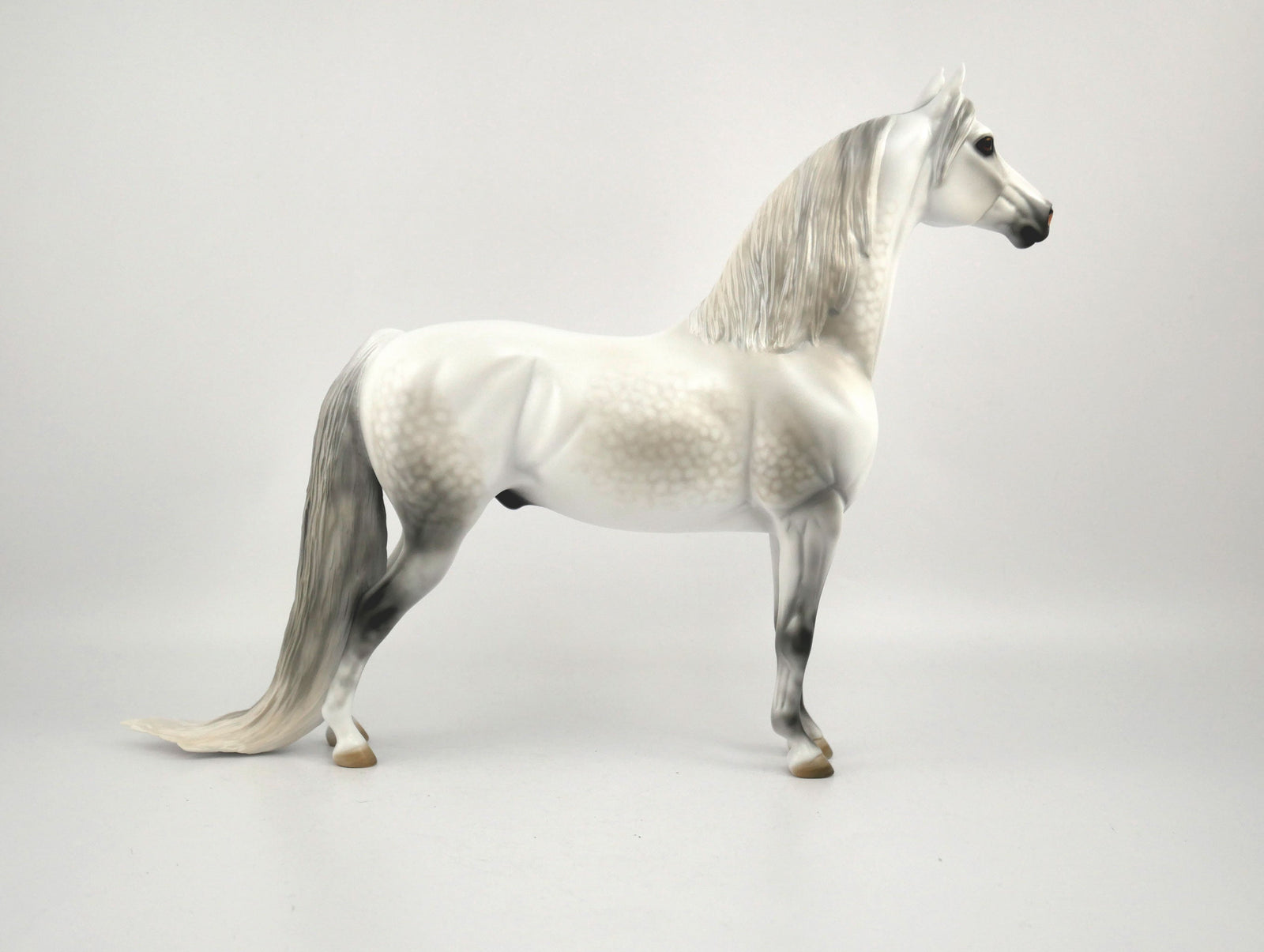 Moon Beam-OOAK Dapple Grey Morgan By Carrie Keller MM 2020