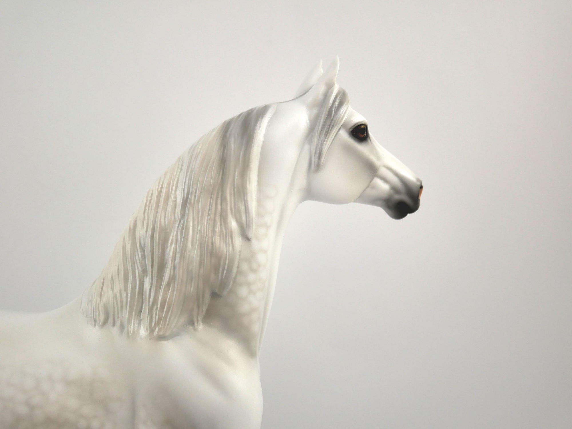 Moon Beam-OOAK Dapple Grey Morgan By Carrie Keller MM 2020