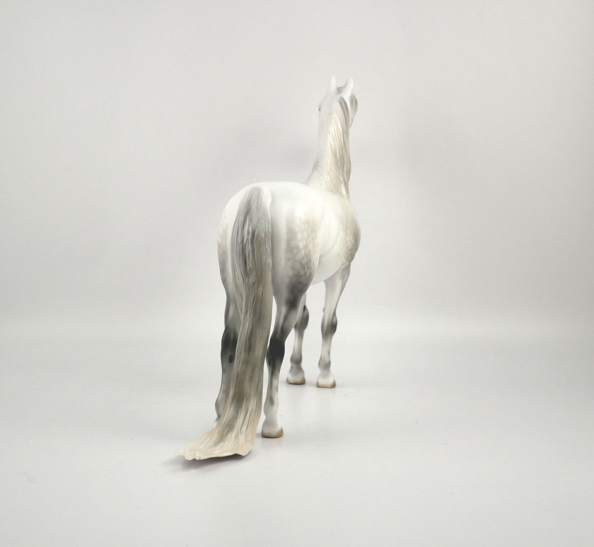 Moon Beam-OOAK Dapple Grey Morgan By Carrie Keller MM 2020