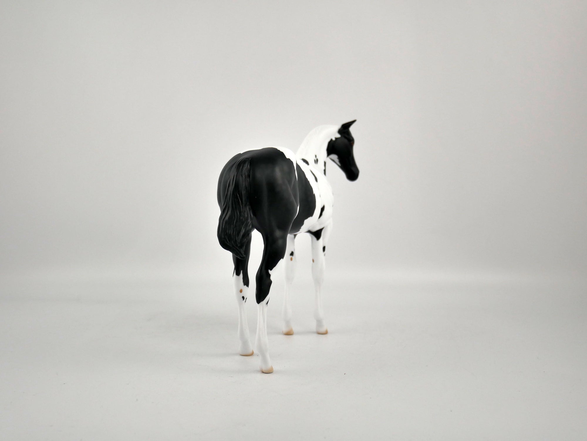 MOONLIGHT ENCHANTMENT-OOAK BLACK TOBIANO WEANLING BY ELLEN ROBBINS 12/09/20