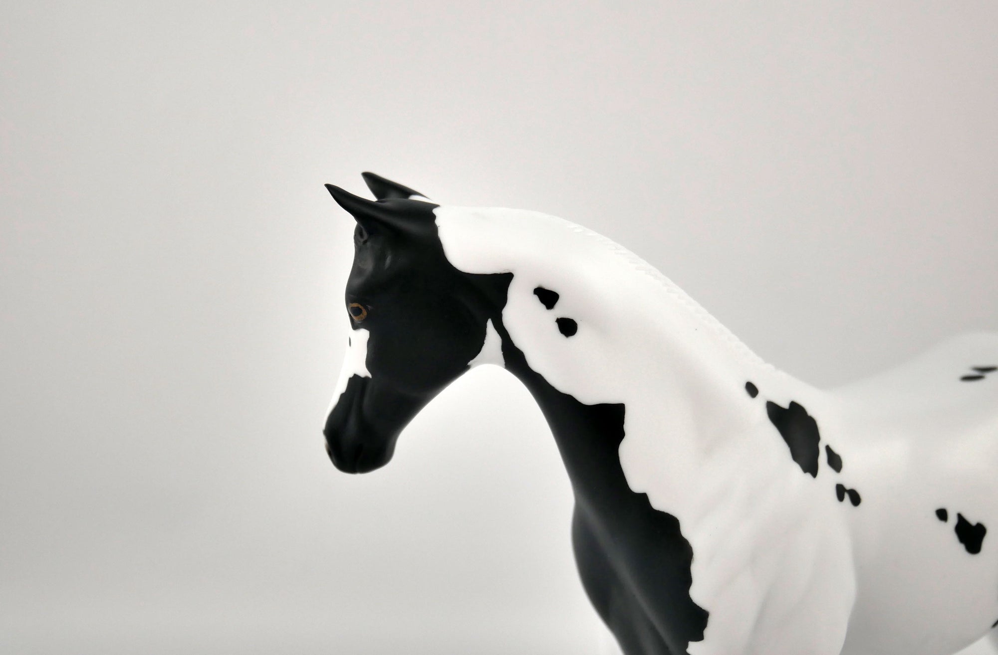 MOONLIGHT ENCHANTMENT-OOAK BLACK TOBIANO WEANLING BY ELLEN ROBBINS 12/09/20