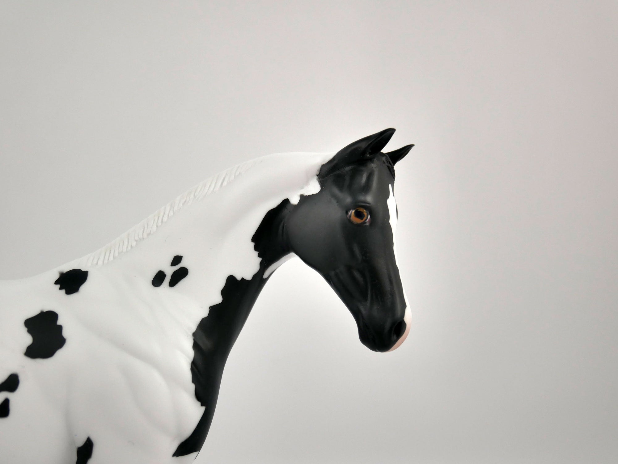 MOONLIGHT ENCHANTMENT-OOAK BLACK TOBIANO WEANLING BY ELLEN ROBBINS 12/09/20