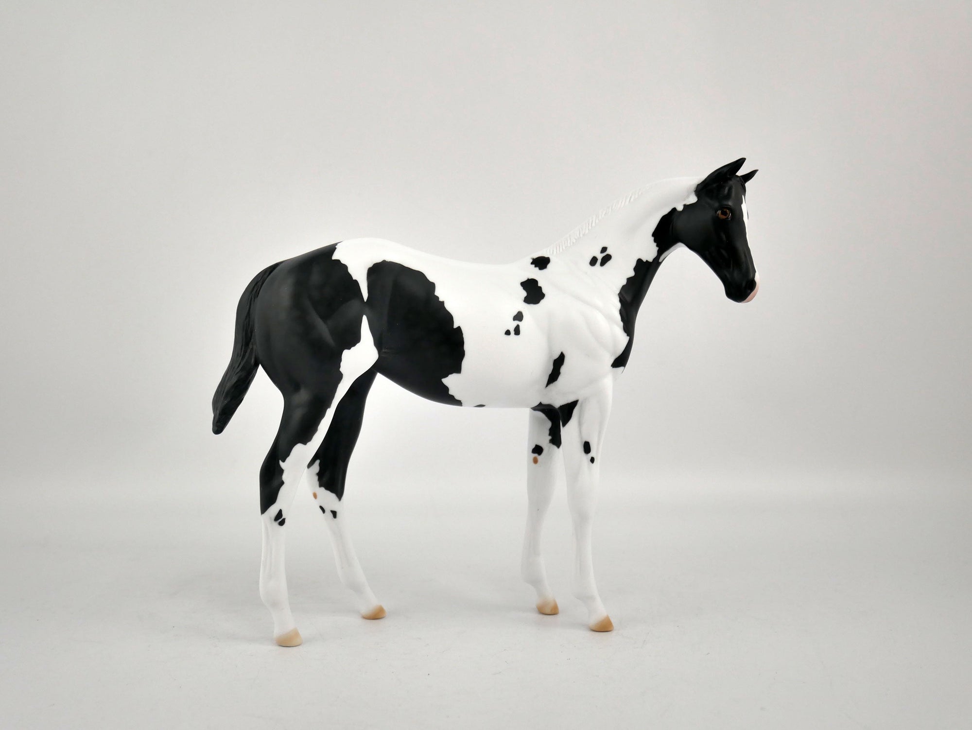 MOONLIGHT ENCHANTMENT-OOAK BLACK TOBIANO WEANLING BY ELLEN ROBBINS 12/09/20