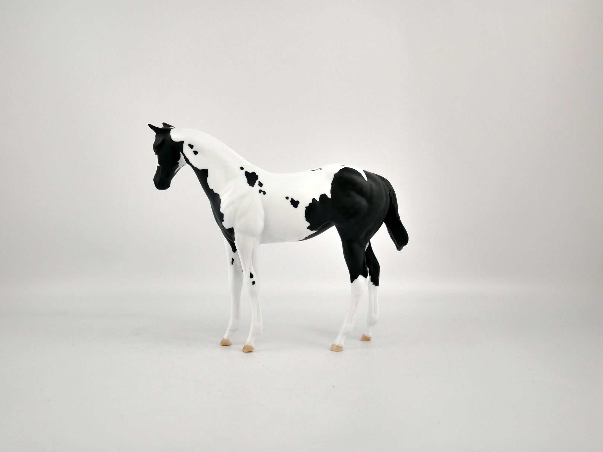 MOONLIGHT ENCHANTMENT-OOAK BLACK TOBIANO WEANLING BY ELLEN ROBBINS 12/09/20