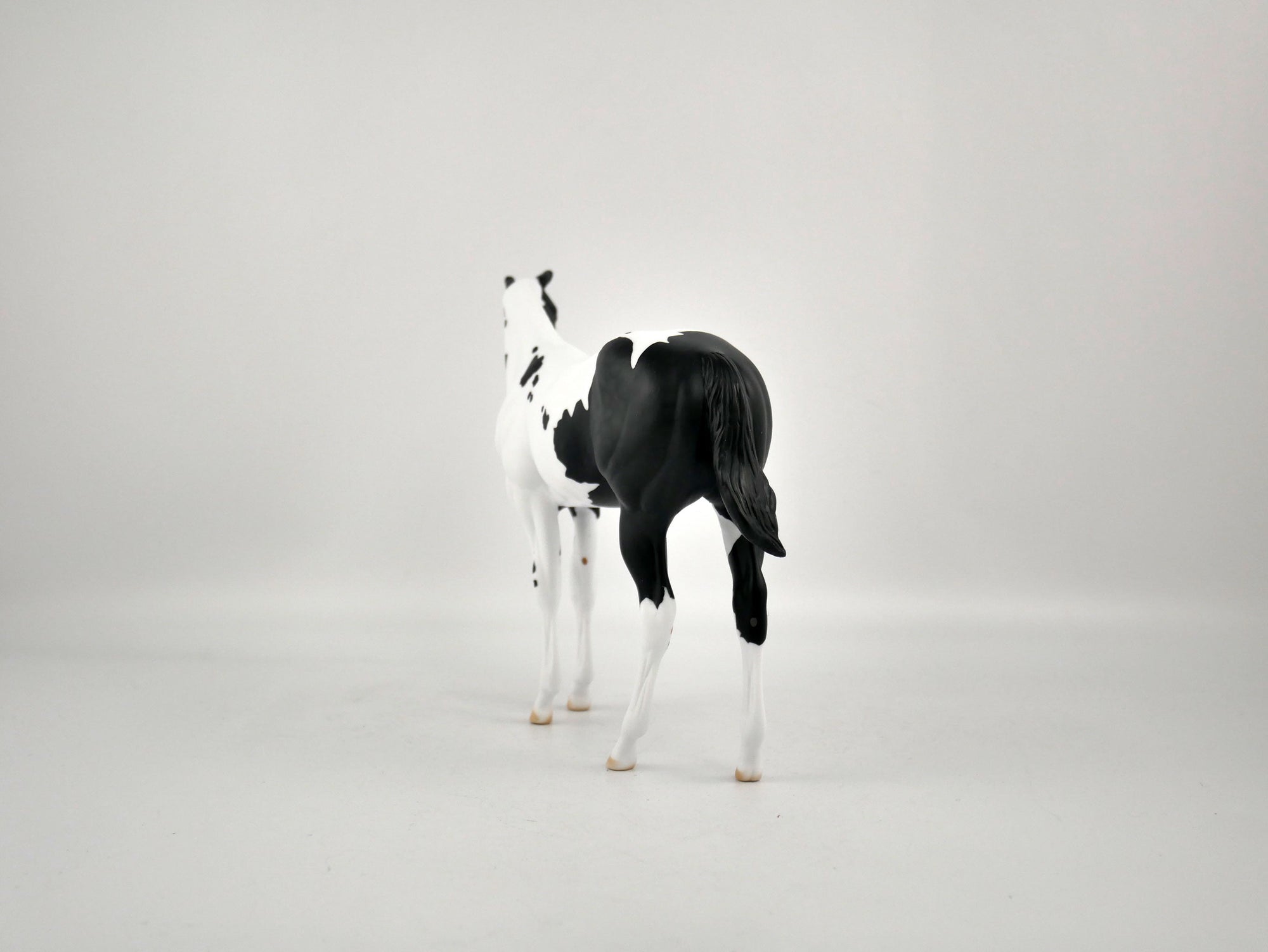 MOONLIGHT ENCHANTMENT-OOAK BLACK TOBIANO WEANLING BY ELLEN ROBBINS 12/09/20