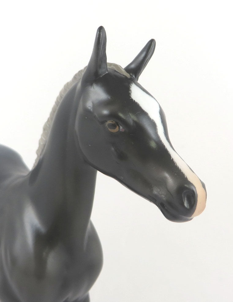 MOONLIGHT MAGIC - LE-3 BLACK ROAN ARAB FOAL MODEL HORSE BY AUDREY DIXON MM19