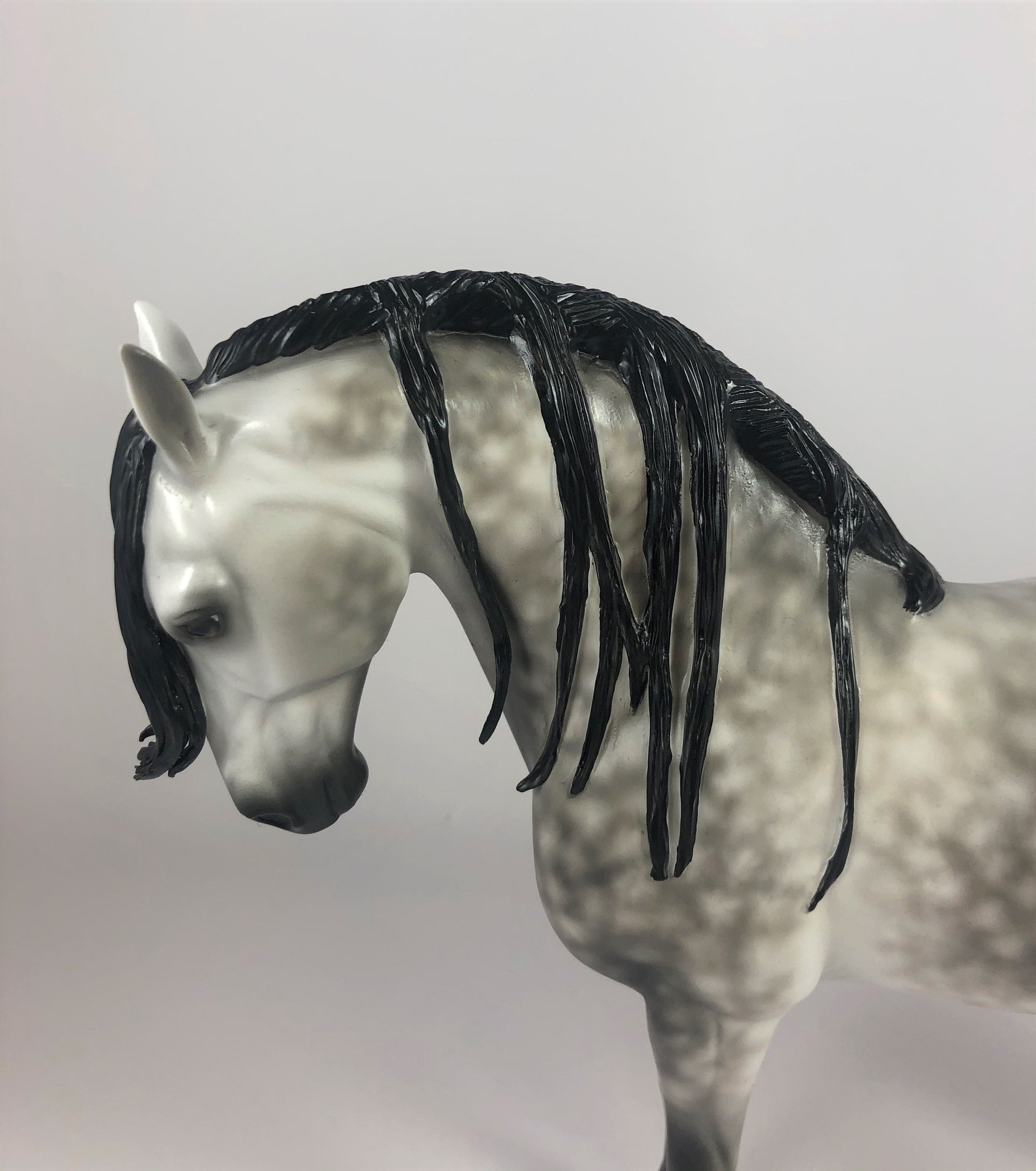 MOONLIGHT-OOAK STAR DAPPLE GREY ANDALUSIAN BY SHERYL LEISURE LHS 2019