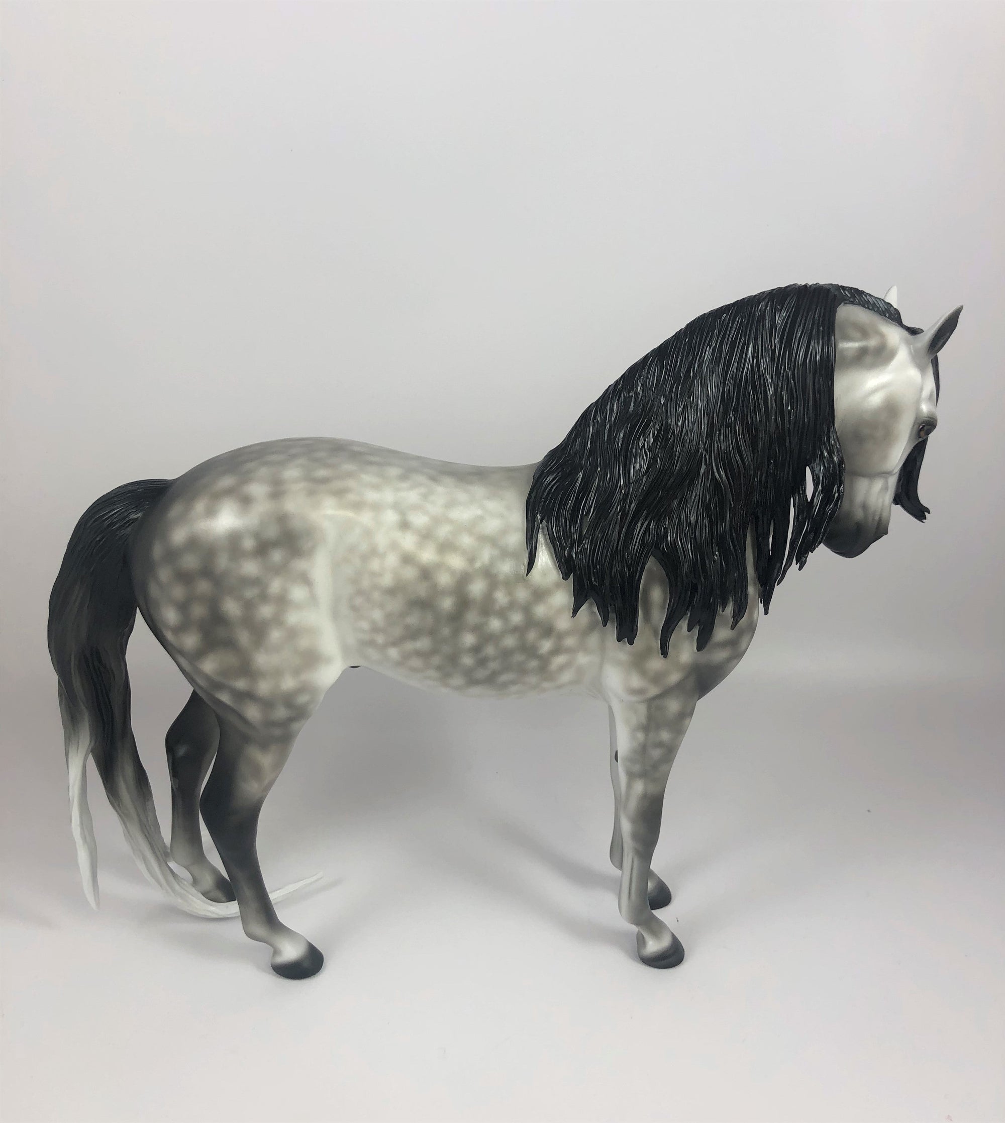 MOONLIGHT-OOAK STAR DAPPLE GREY ANDALUSIAN BY SHERYL LEISURE LHS 2019