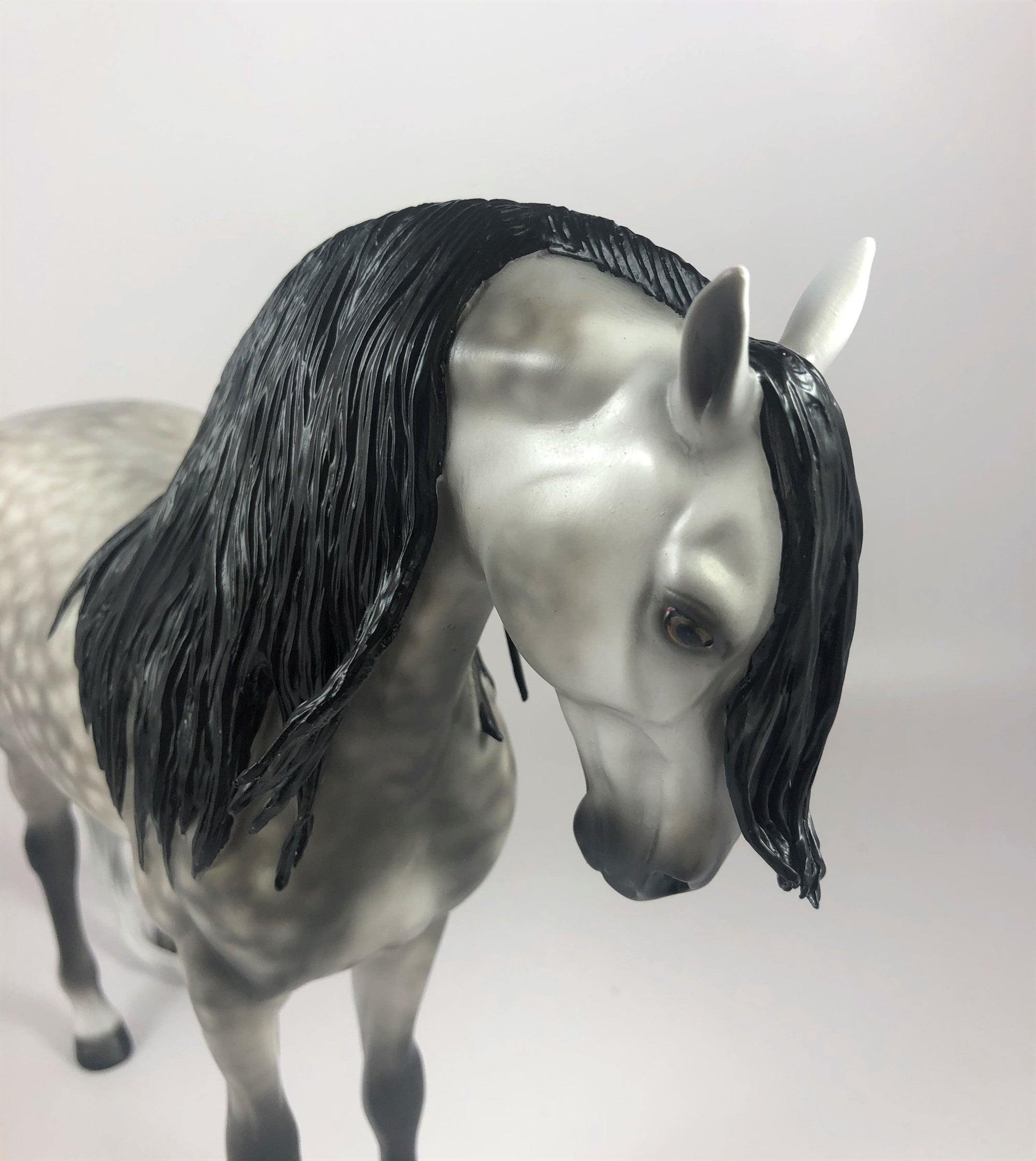 MOONLIGHT-OOAK STAR DAPPLE GREY ANDALUSIAN BY SHERYL LEISURE LHS 2019