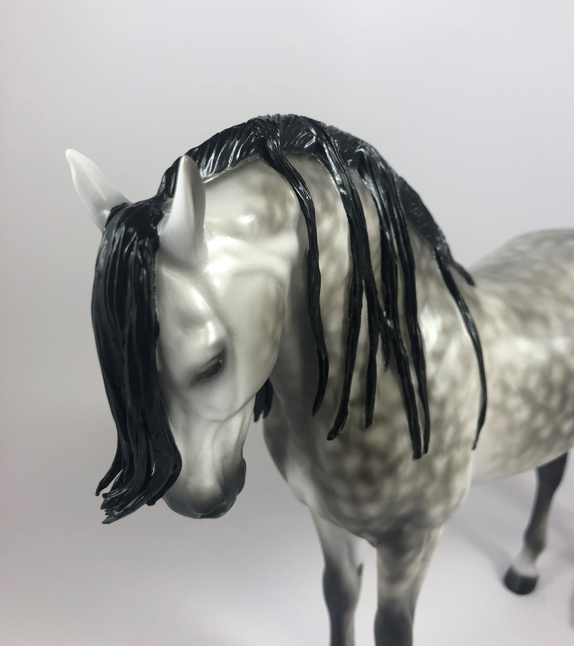 MOONLIGHT-OOAK STAR DAPPLE GREY ANDALUSIAN BY SHERYL LEISURE LHS 2019