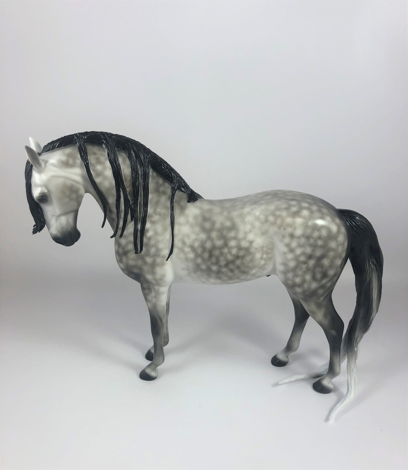 MOONLIGHT-OOAK STAR DAPPLE GREY ANDALUSIAN BY SHERYL LEISURE LHS 2019
