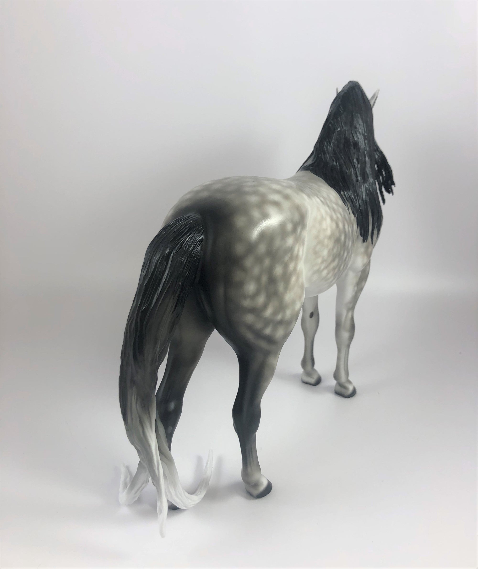 MOONLIGHT-OOAK STAR DAPPLE GREY ANDALUSIAN BY SHERYL LEISURE LHS 2019