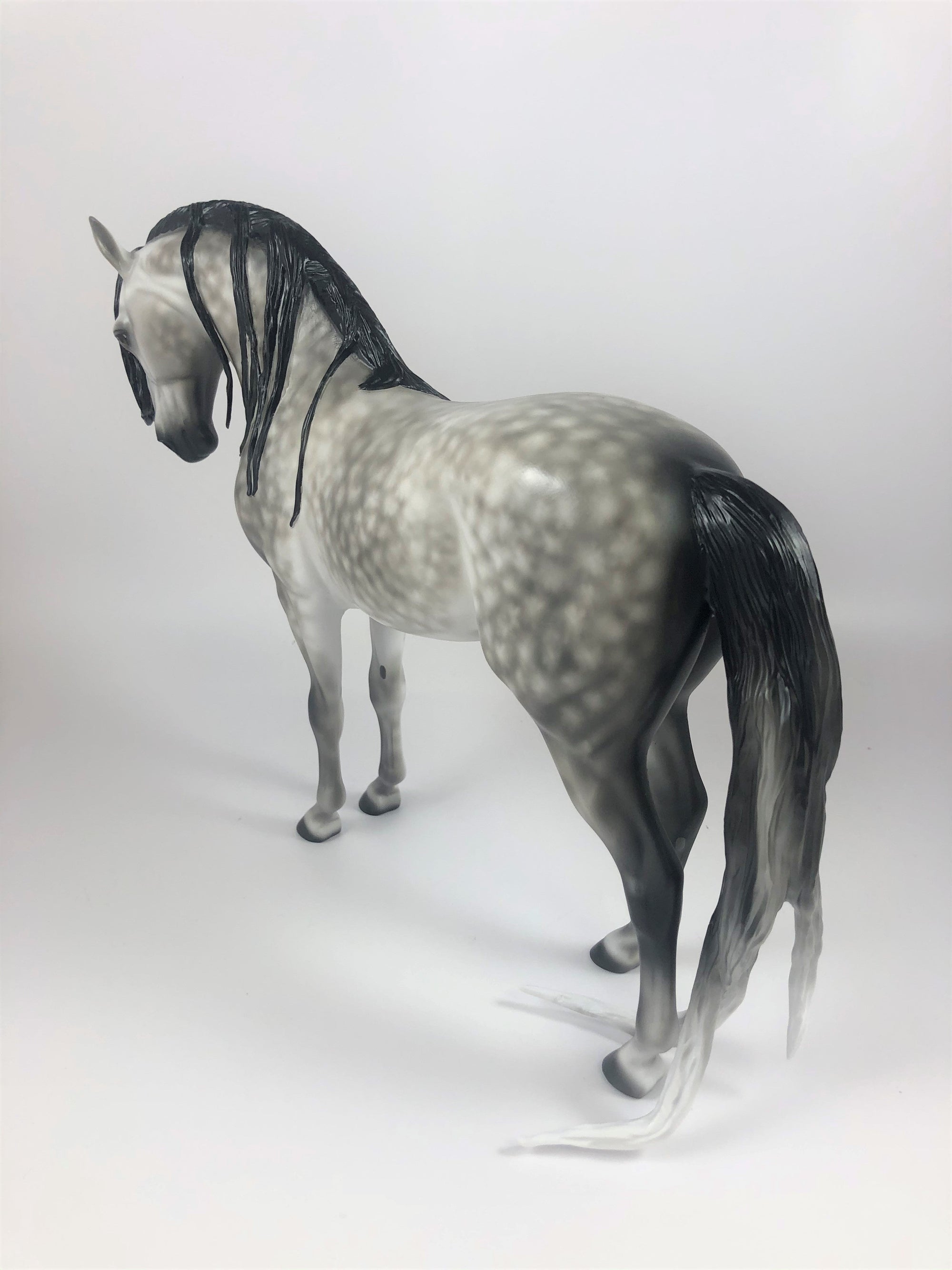 MOONLIGHT-OOAK STAR DAPPLE GREY ANDALUSIAN BY SHERYL LEISURE LHS 2019