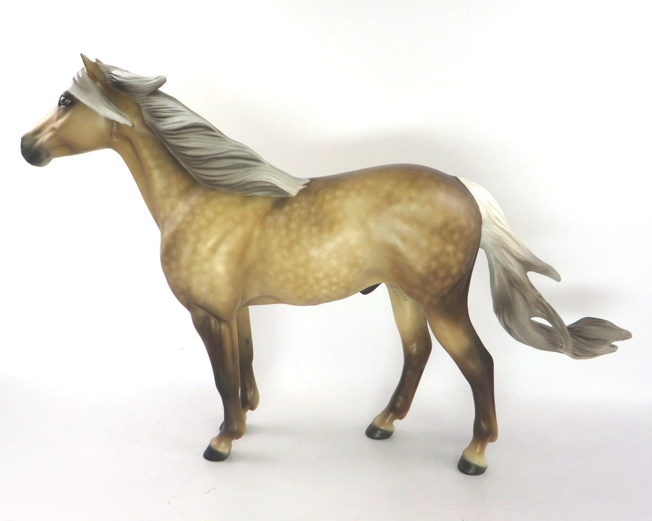 star dapple palomino