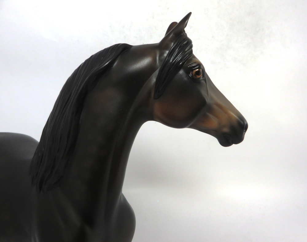 WINGERS- LE-3 DARK BAY RABICANO MORGAN BY AUDREY DIXON SB19