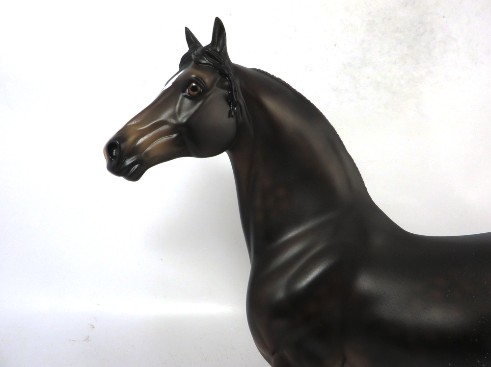 WINGERS- LE-3 DARK BAY RABICANO MORGAN BY AUDREY DIXON SB19