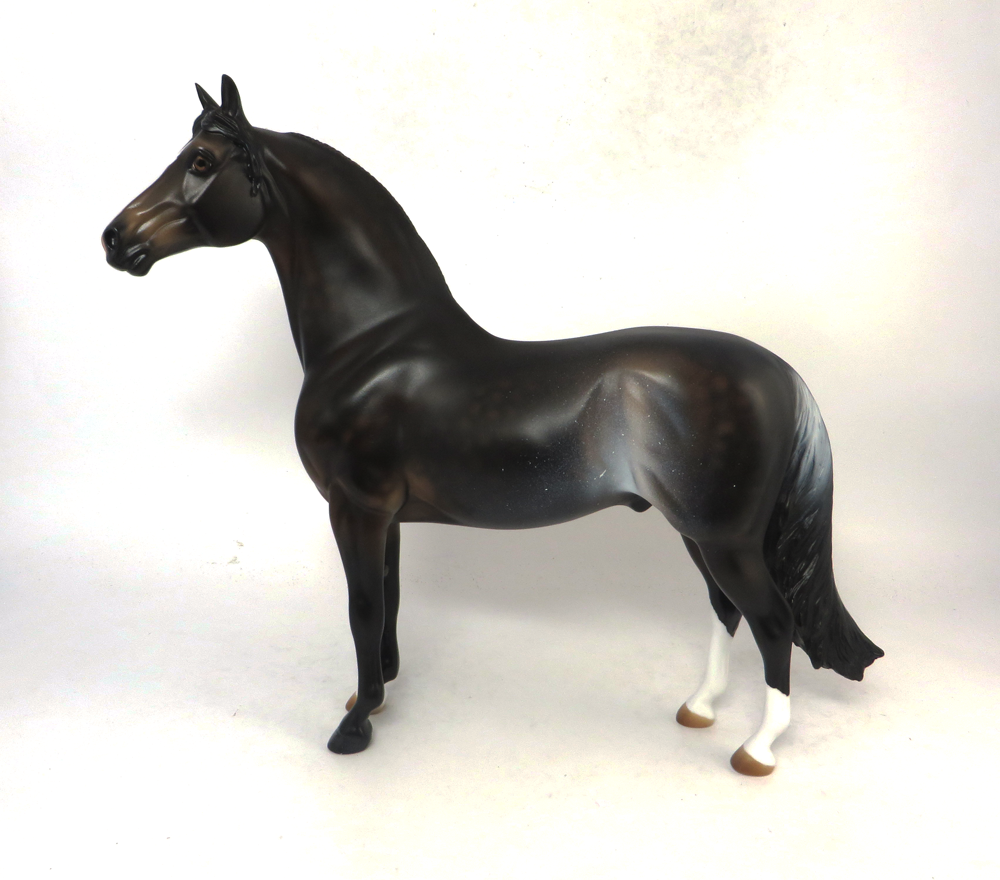 WINGERS- LE-3 DARK BAY RABICANO MORGAN BY AUDREY DIXON SB19