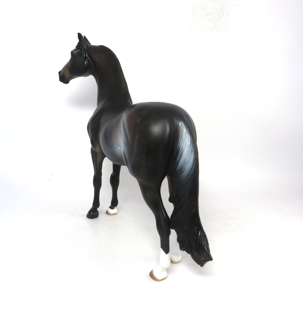 WINGERS- LE-3 DARK BAY RABICANO MORGAN BY AUDREY DIXON SB19