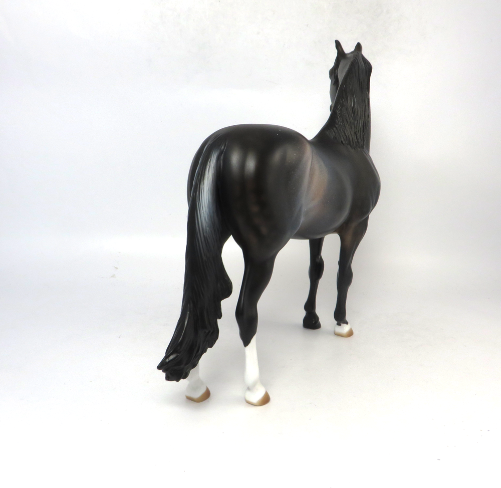 WINGERS- LE-3 DARK BAY RABICANO MORGAN BY AUDREY DIXON SB19