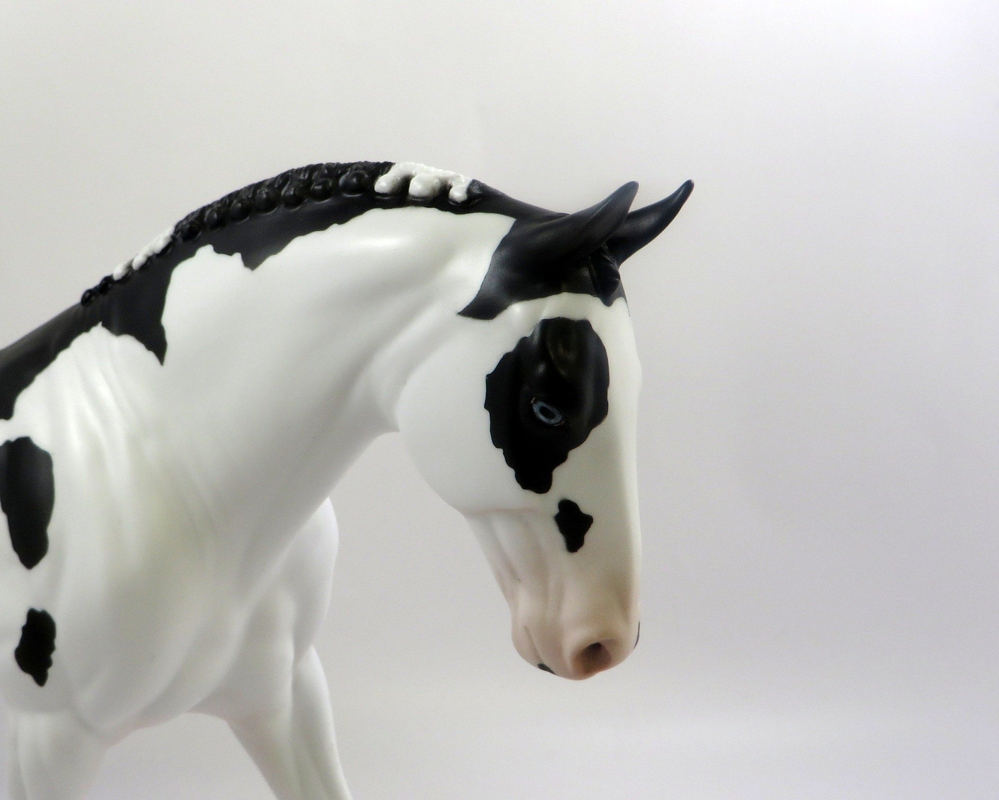 MORGANA-BLACK OVERO IRISH DRAFT NC MODEL HORSE EQ 2019