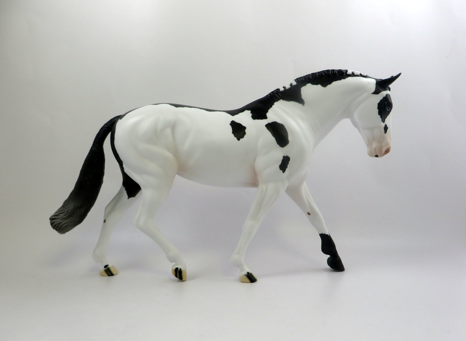 MORGANA-BLACK OVERO IRISH DRAFT NC MODEL HORSE EQ 2019