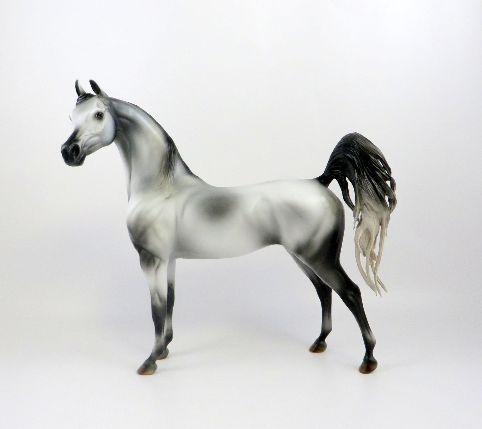MORRIS-OOAK LIGHT DAPPLE GREY ARABIAN MODEL HORSE EQ 19