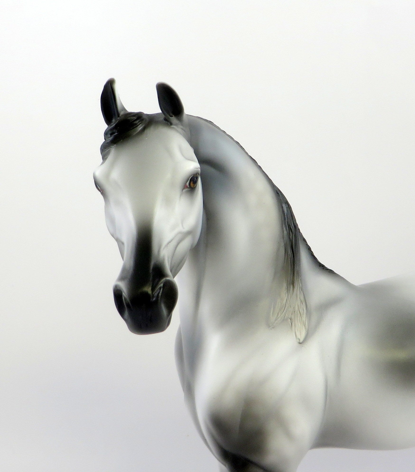 MORRIS-OOAK LIGHT DAPPLE GREY ARABIAN MODEL HORSE EQ 19