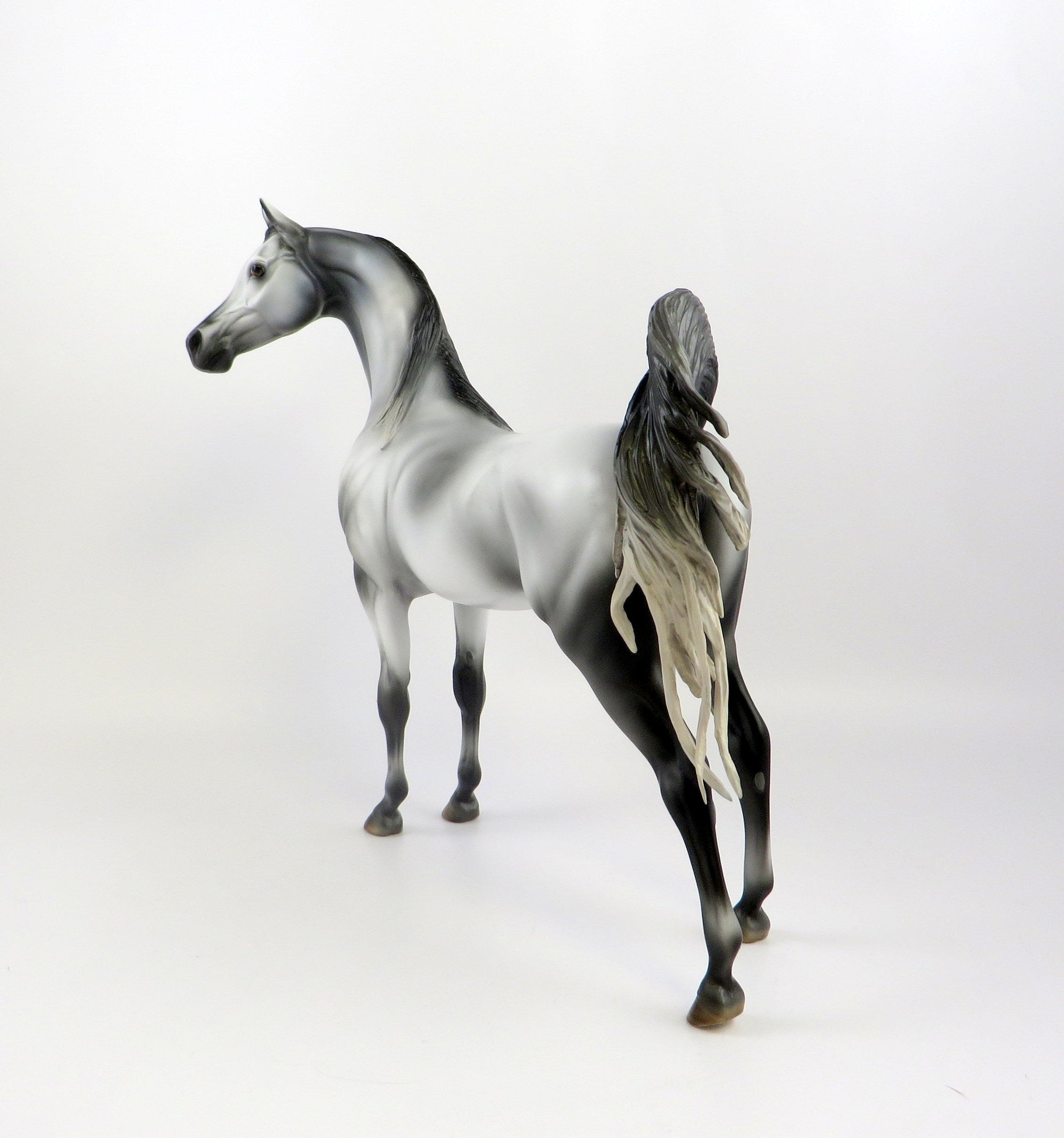 MORRIS-OOAK LIGHT DAPPLE GREY ARABIAN MODEL HORSE EQ 19